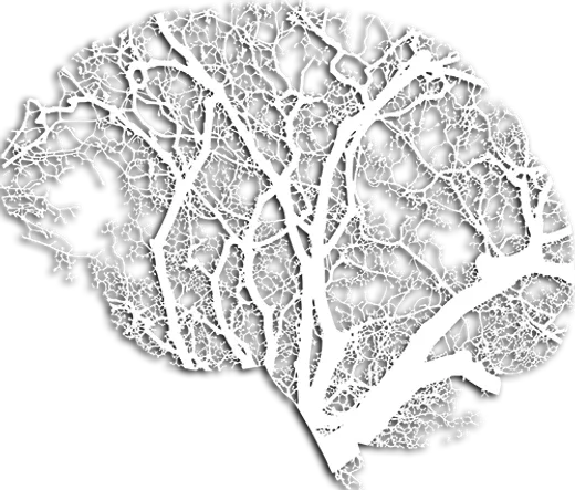 Strategic Planning for Growth